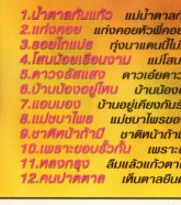 ก้าน แก้วสุพรรณ - ฮิตเต็ม100 ชุดที่5 VCD1204-web2